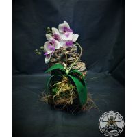 Artifical orchid attached to the cork tube